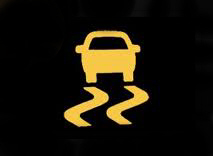 Traction Control Warning Light